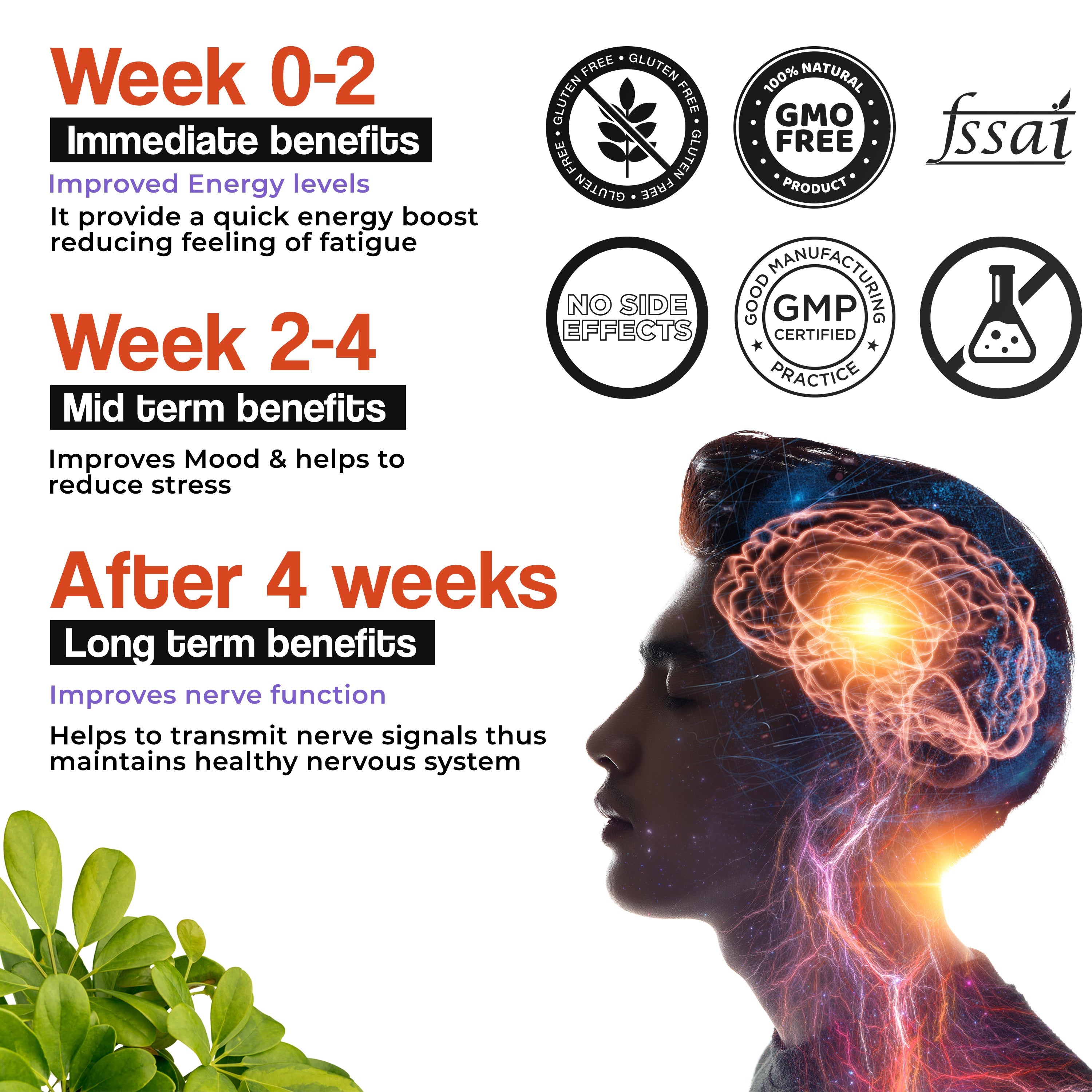 Health Veda Organics Plant Based B-Complex Tablets | Grocsy