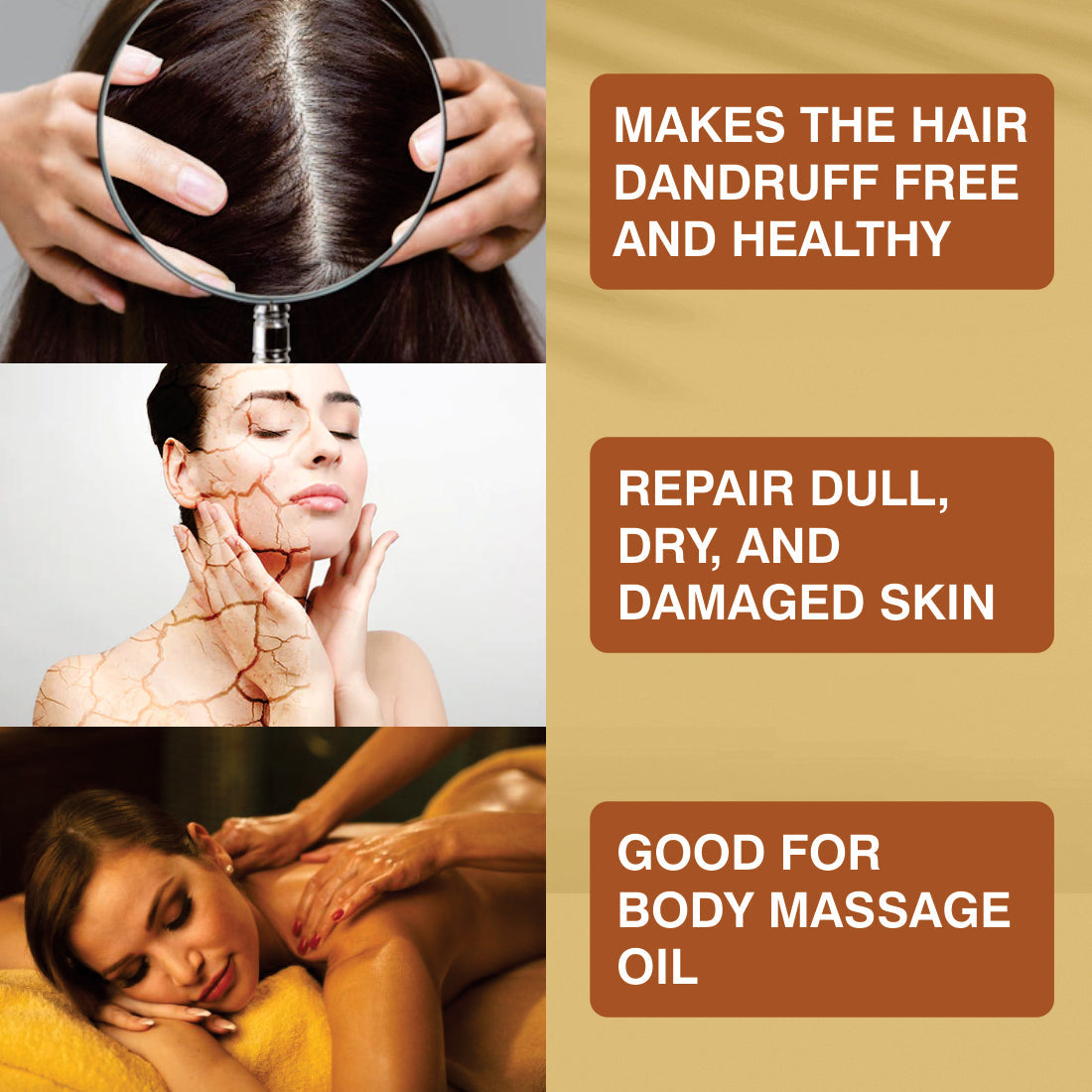 Nuerma Science Pure Almond Hair Oil for Natural Hair Growth | Grocsy