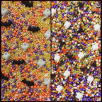 Confect Halloween sprinkles Multipack 2 (New) | Grocsy