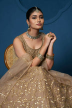 Brown Soft Netzari Embroidery Work Lehenga Choli - Jihu Culture | Grocsy