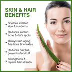 She Essentials Aloe Vera Gel With Pure Aloe Vera & Cucumber Extract For Skin & Hair | Grocsy