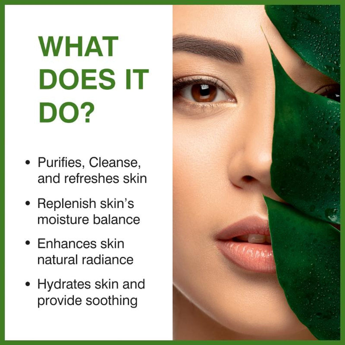 She Essentials Aloe Vera Hydrating Face Wash For All Types Of Skin | Grocsy