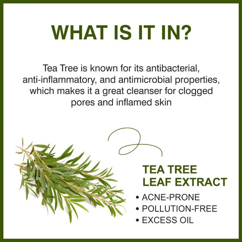 She Essentials Tea Tree Oil Face Wash For Acne Control | Grocsy