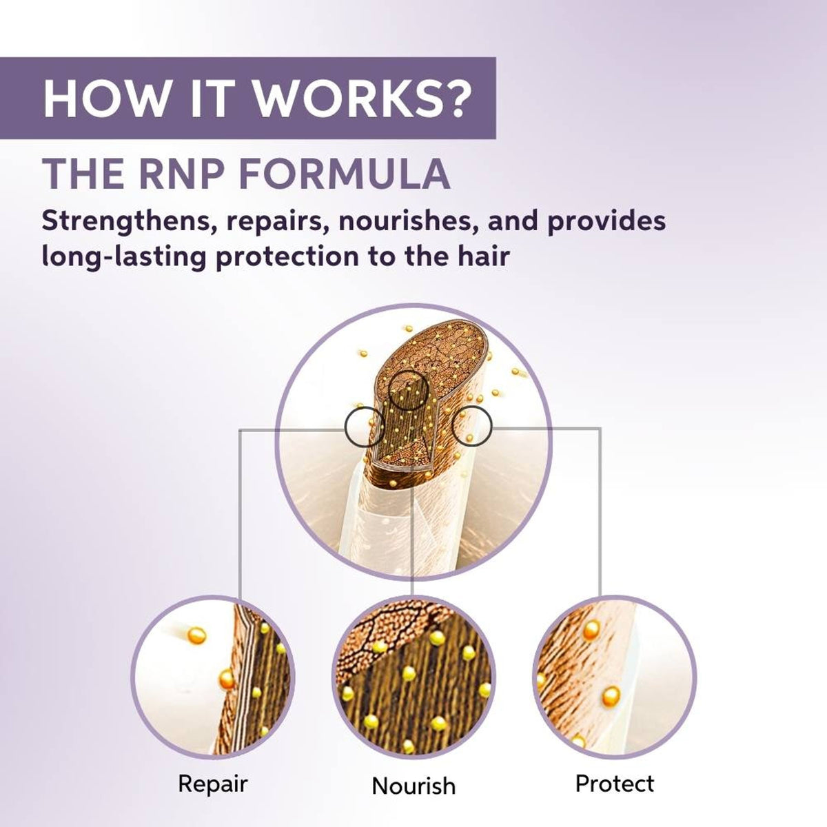 System Professional Repair Shampoo for Damaged Hair Strengthens & Restores | Grocsy