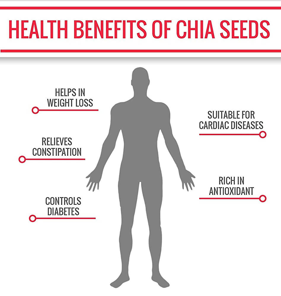 NutroActive Chia Seeds | Grocsy