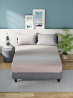 Nautica Grey & Pink 160 TC King Bedsheet With 2 Pillow Covers | Grocsy