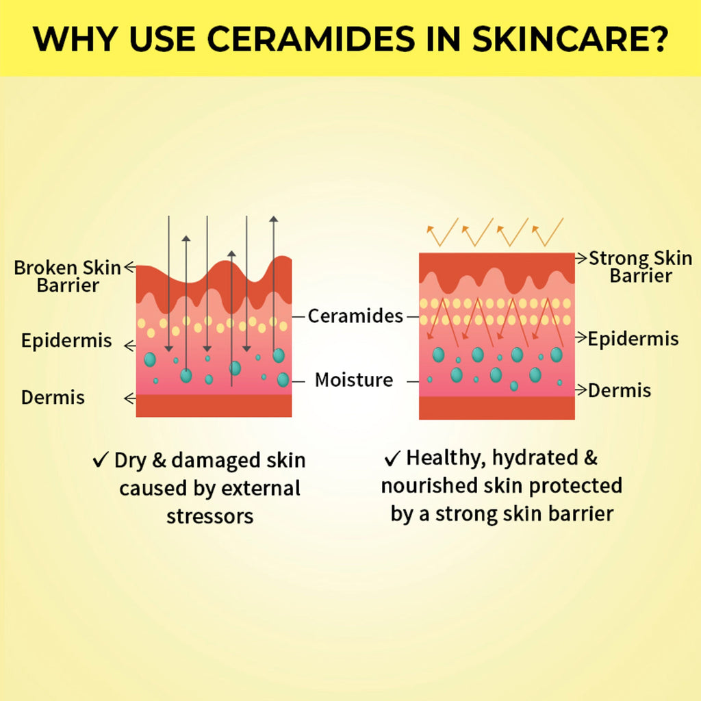 Nykaa SkinRX Ceramide Barrier Repair Face Moisturizer with SPF 15- All Skin Types | Grocsy