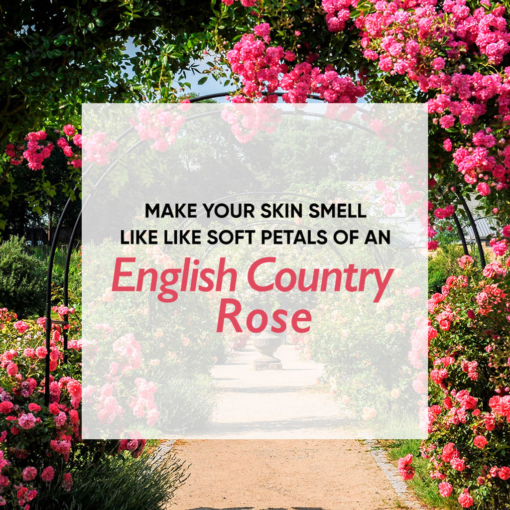 Wanderlust Moisturizing Body Lotion - Country Rose | Grocsy