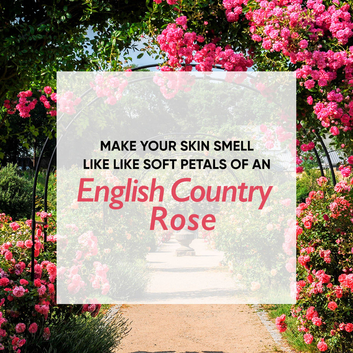 Wanderlust Moisturizing Body Lotion - Country Rose | Grocsy