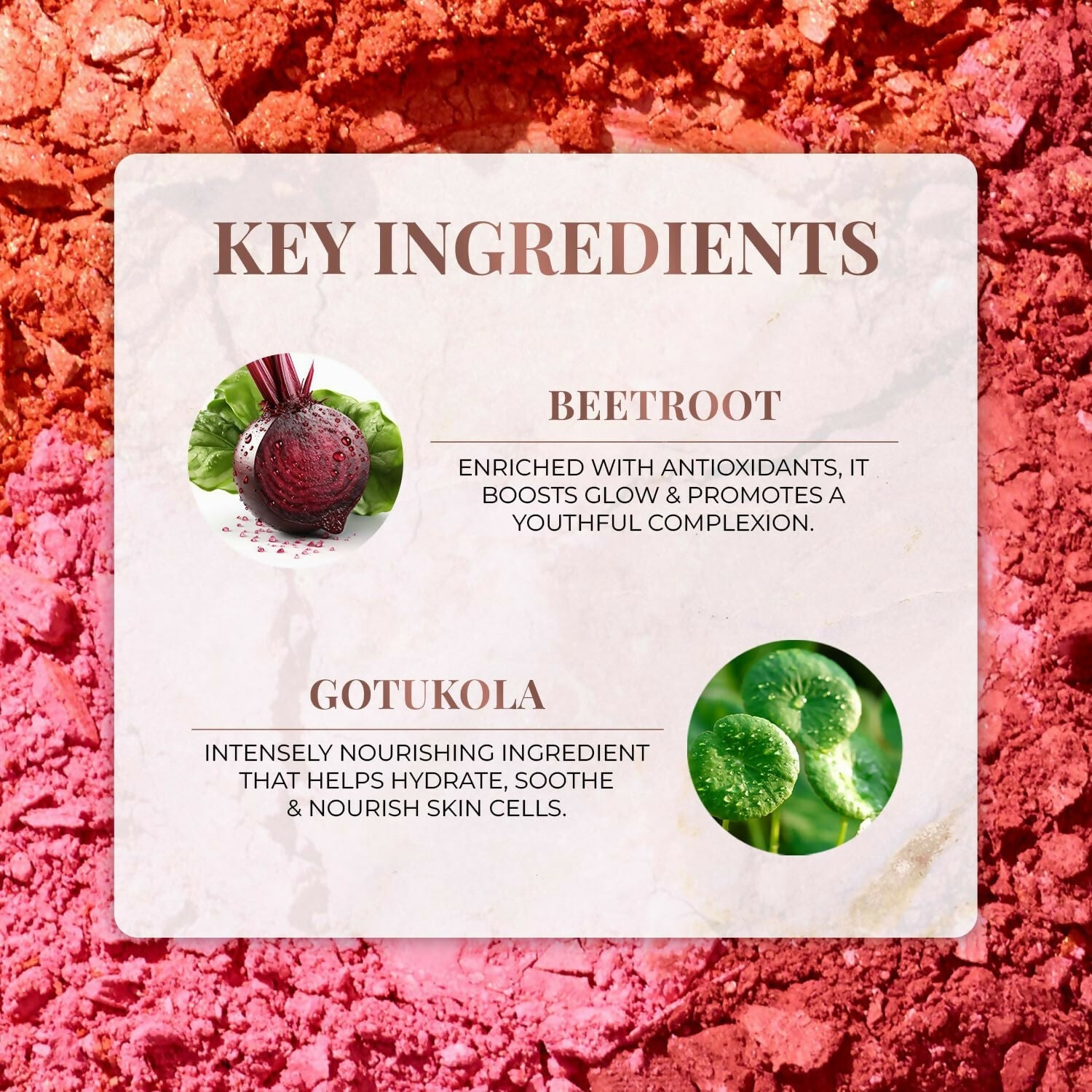 Just Herbs Nourishing Powder Blush - Velvet Rose | Grocsy