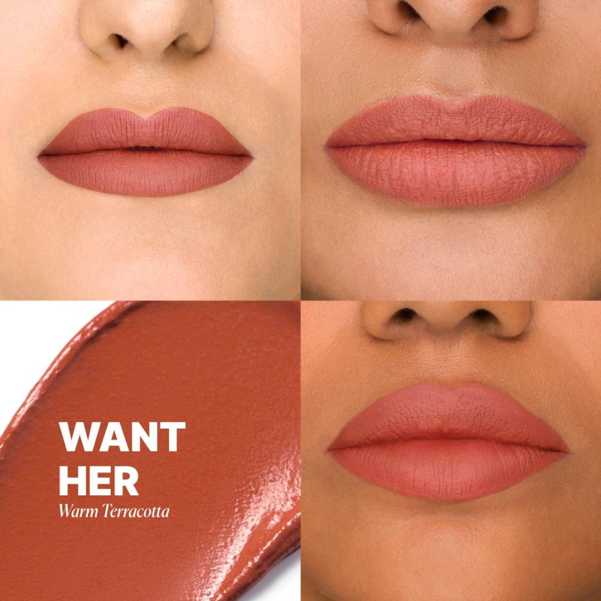 IRIS COSMETICS Matte Made Her Do It Liquid Lipstick - Warm Terracotta | Grocsy