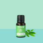 Natural Vibes Tea Tree Pure Essential Oil | Grocsy