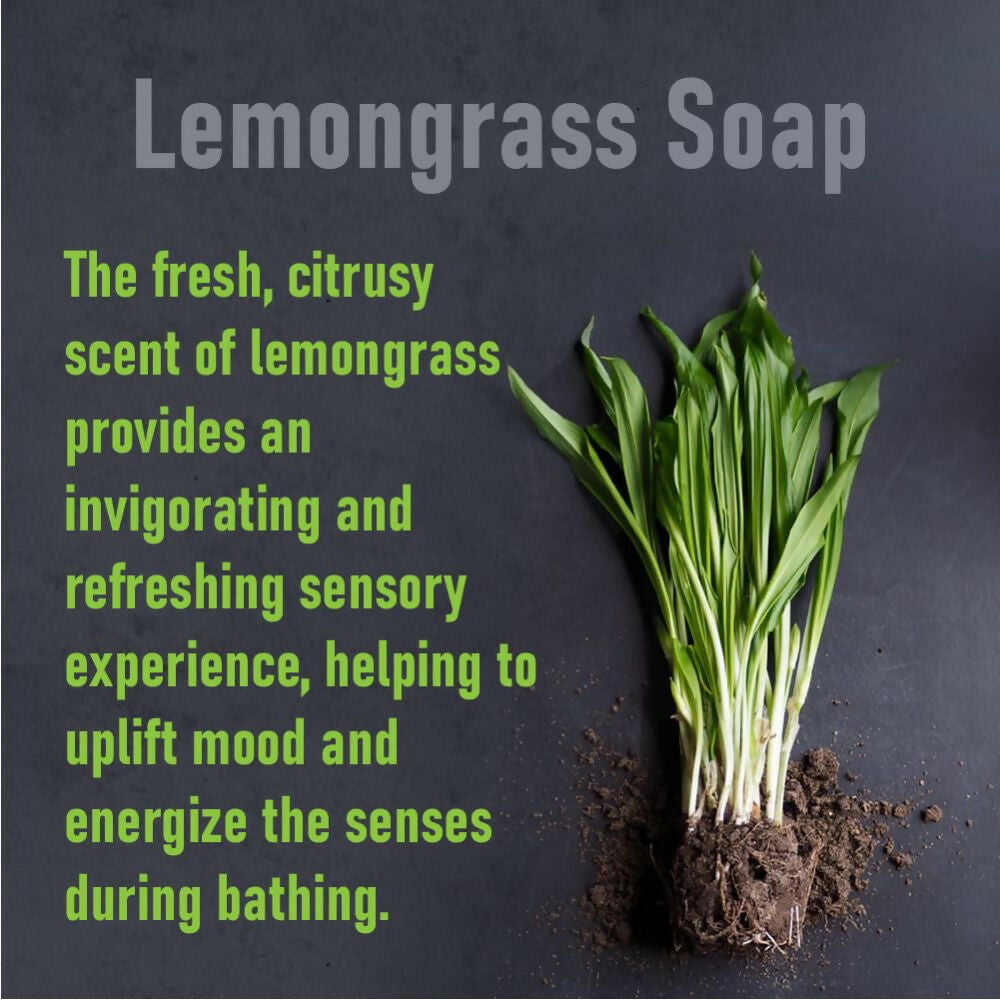 Prakriti Herbal Soap Lemongrass | Grocsy