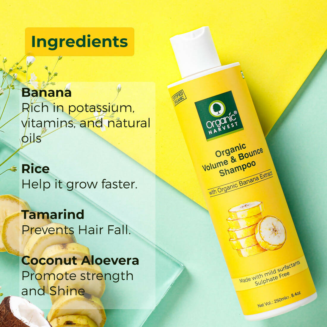 Organic Harvest Organic Volume & Bounce Shampoo With Organic Banana Extract | Grocsy