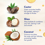 Parachute Advansed Castor & Shea-enriched Coconut Hair Oil | Grocsy