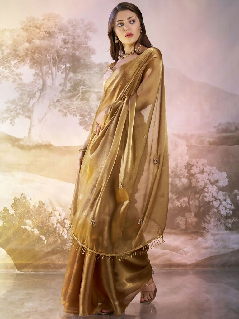 Brown Burberry Organza Solid Fancy Designer Saree - Nafisa | Grocsy