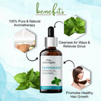 Aravi Organic Peppermint Essential Oil | Grocsy
