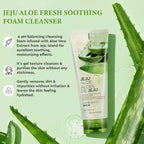 The Face Shop Jeju Aloe Fresh Soothing Foam Cleanser - Korean Skincare | Grocsy