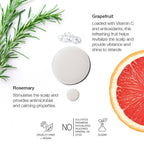 Anomaly by Priyanka Chopra Gentle Shampoo With Grapefruit & Rosemary | Grocsy
