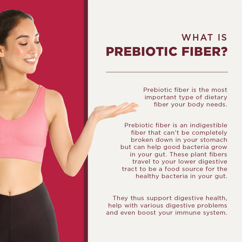 Wellbeing Nutrition Daily Fiber Powder-Vanilla Berry Flavor | Grocsy