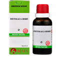 Bjain Homeopathy Phytolacca Berry Mother Tincture Q | Grocsy