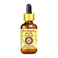 Deve Herbes Pure Rangoon Root Oil | Grocsy