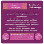 24 Mantra Organic Tulsi Ginger Tea Powder | Grocsy