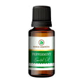 Korus Essential Peppermint Essential Oil - Therapeutic Grade | Grocsy
