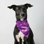 Waggety Dog Bandana - Fluffy Not Fat, Design Soft Fabric, Stylish Pet Accessory for Dogs - Purple | Grocsy