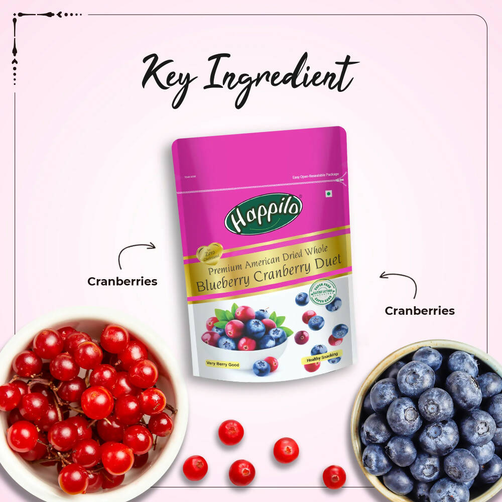 Happilo Premium Dried Blueberry Cranberry Duet | Grocsy