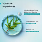 Pilgrim Australian Tea Tree Non-Drying Anti-Dandruff Shampoo | Grocsy
