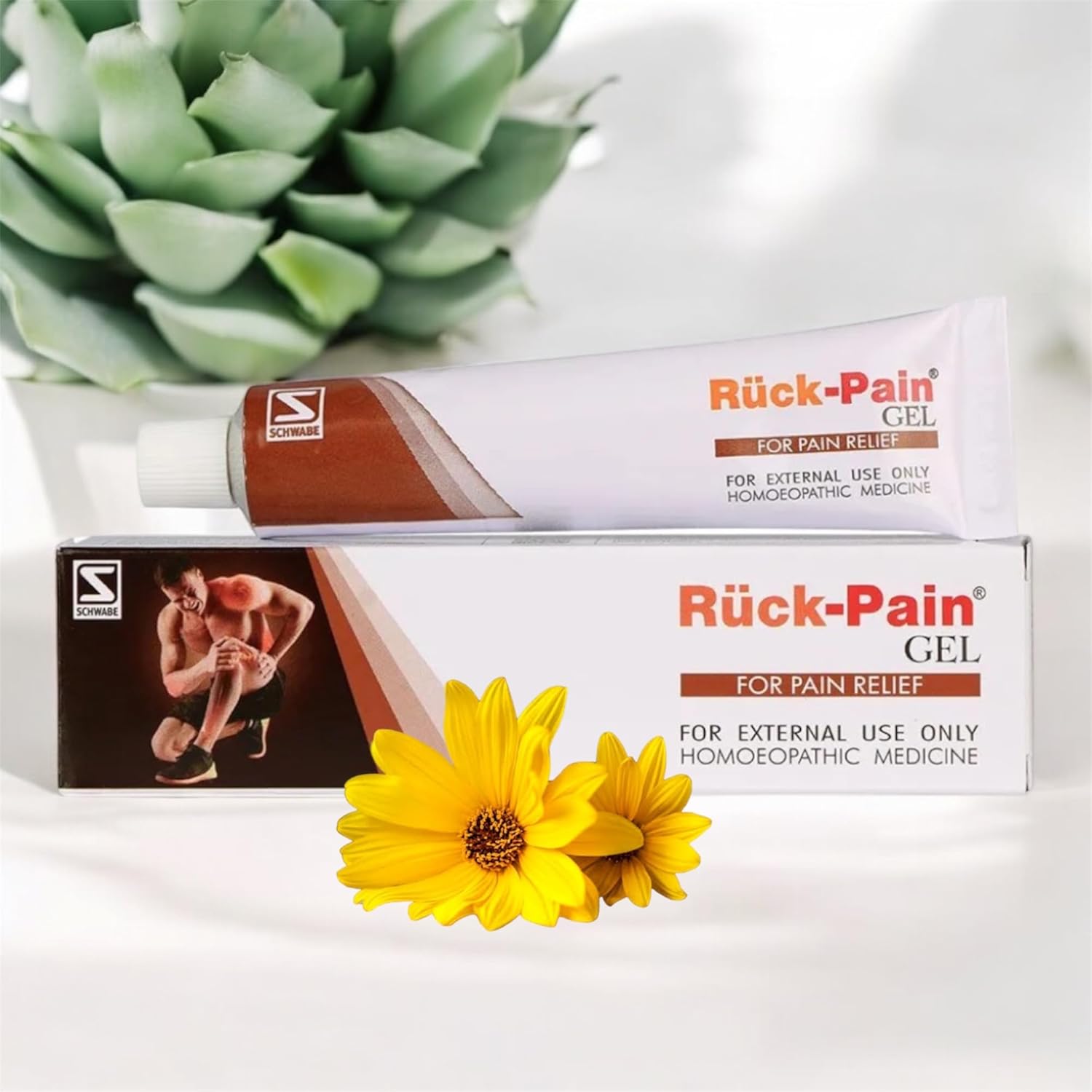 Dr. Willmar Schwabe India Topi MP Cream | Grocsy