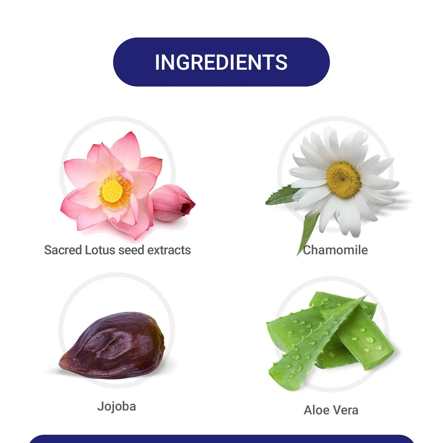 Mitchell USA Skin Polish Insta - Brite | Grocsy