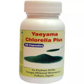Tonga Herbs Yaeyama Chlorella Plus Capsules | Grocsy