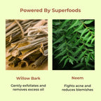 Naturali Acne & Oil Control Gel Moisturiser With Superfoods Willow Bark & Neem | Grocsy