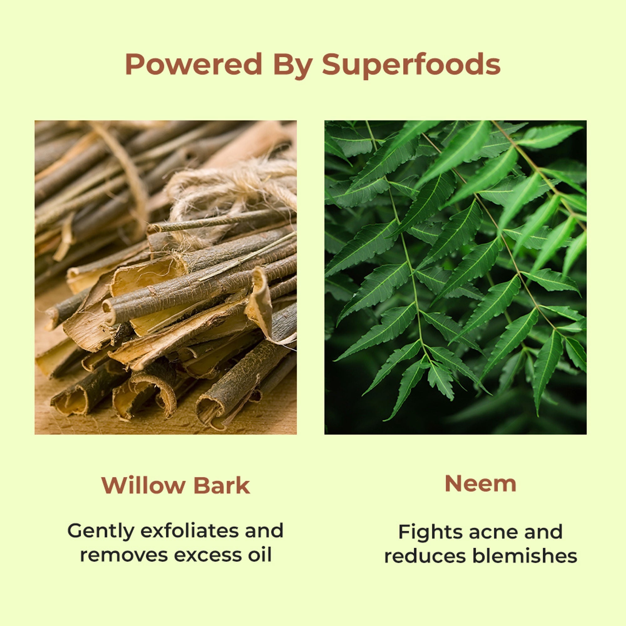 Naturali Acne & Oil Control Gel Moisturiser With Superfoods Willow Bark & Neem | Grocsy