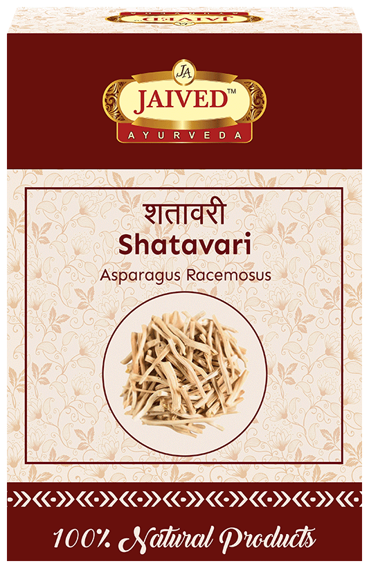 Jaived Ayurveda Shatavari | Grocsy
