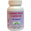 Tonga Herbs Canox Plus Capsules | Grocsy