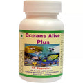 Tonga Herbs Oceans Alive Plus Capsules | Grocsy
