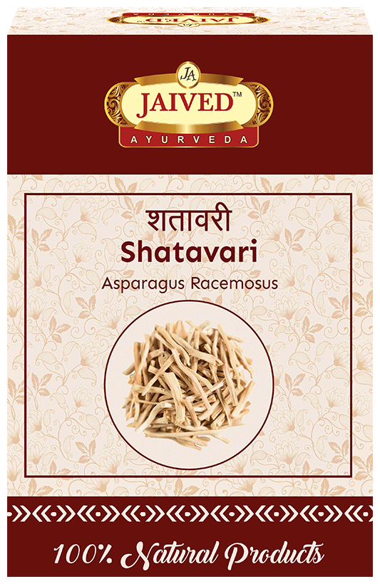 Jaived Ayurveda Shatavari | Grocsy