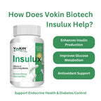 Vokin Biotech Herbal Insulux Gymnema Sylvestre for Diabetes Control 750mg (60 Capsules), 200 grams | Grocsy