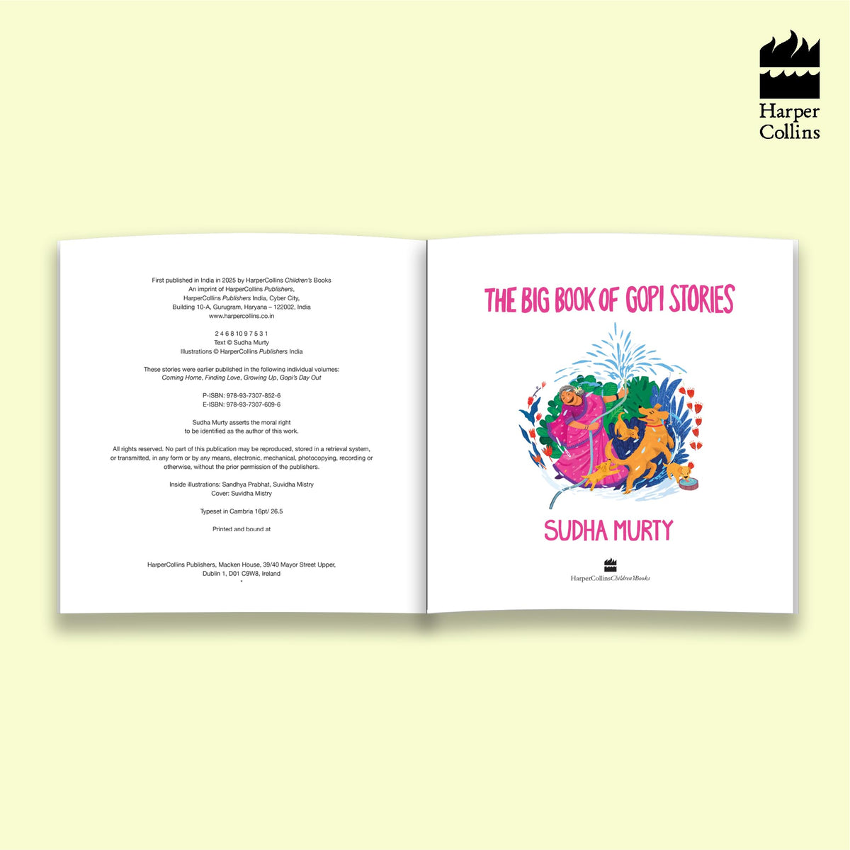 The Big Book Of Gopi Stories: The Gopi Diarie By Sudha Murty | Grocsy