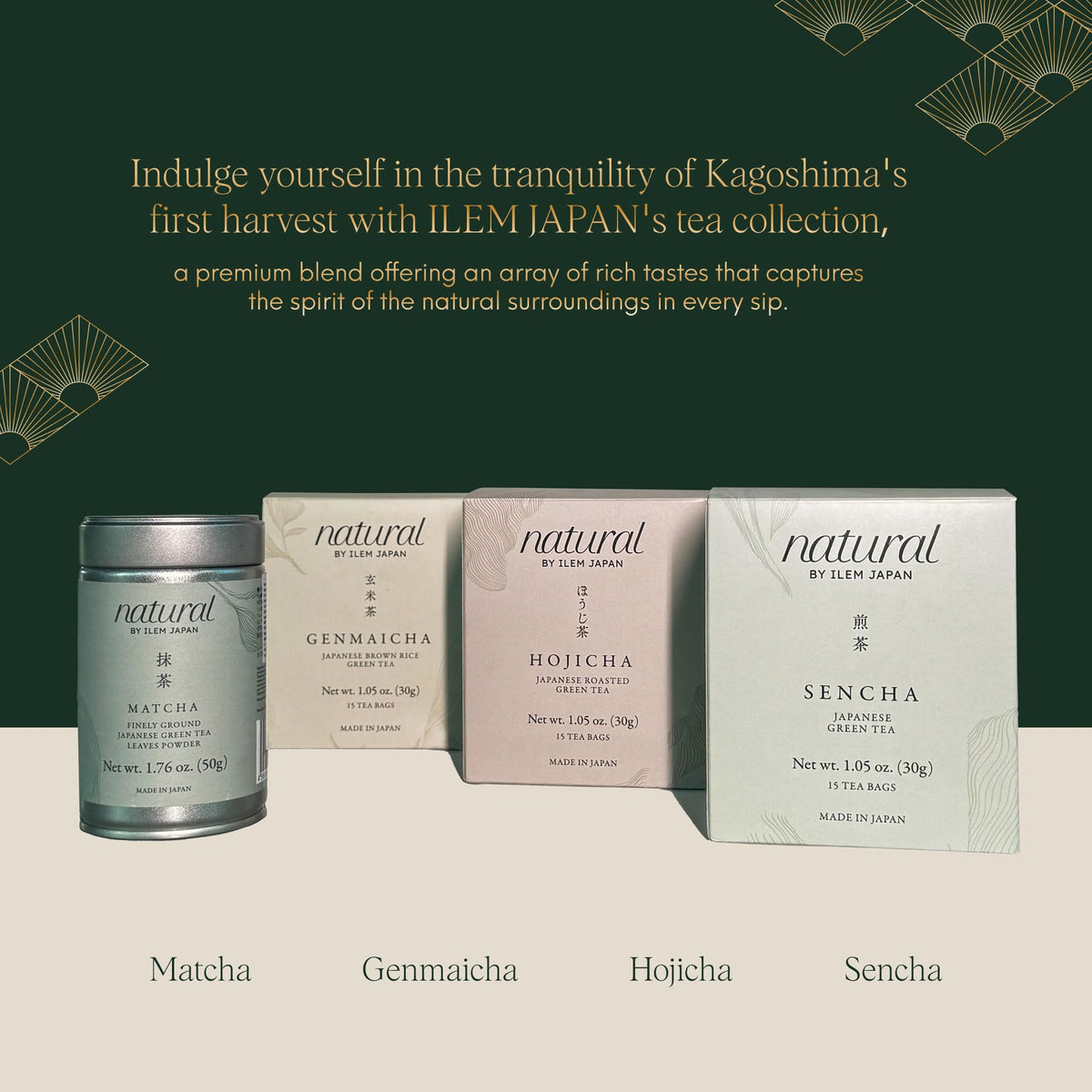 ILEM JAPAN Sencha Green Tea Bags | Grocsy