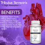 Vokin Biotech Tribulus Terrestris 700mg Energy, Performance & Stamina Veg Capsules | Grocsy