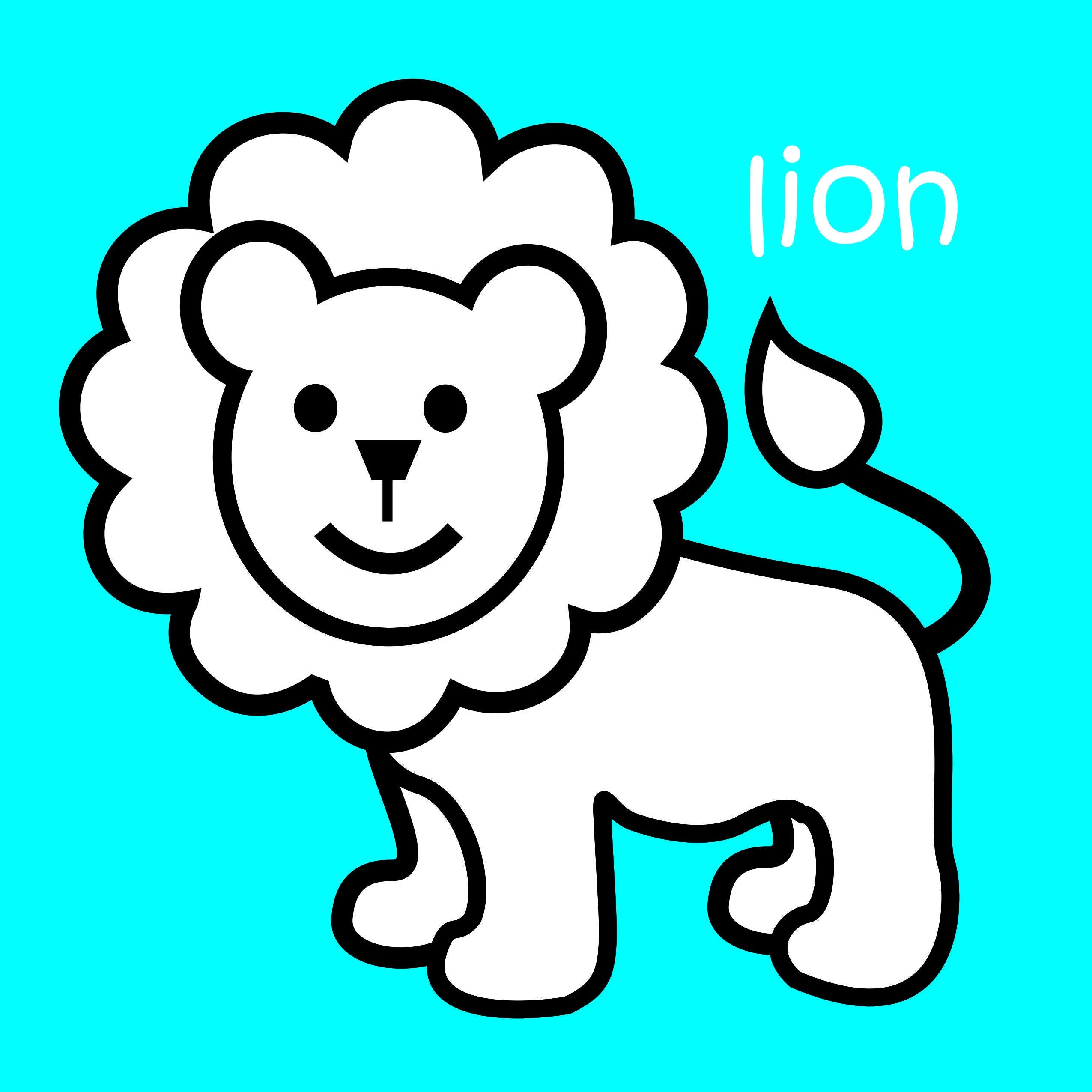 In The Line Colouring Book-Animals. | Grocsy