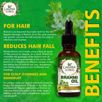 Luxura Sciences Organic Brahmi Oil for Hair Growth | Grocsy