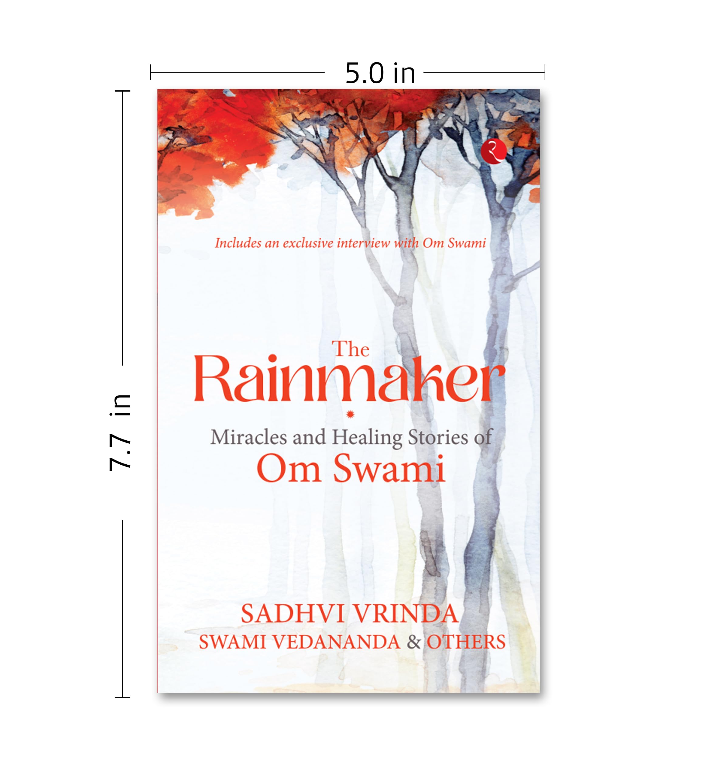 The Rainmaker: Miracles And Healing Stories Of Om Swami | Grocsy