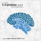 Vokin Biotech L-Carnitine Acetyl (ALCAR)- Support Brain Health- 500 mg | Grocsy