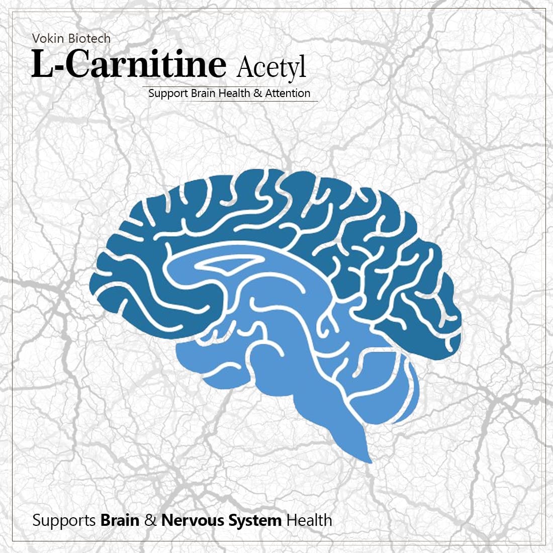 Vokin Biotech L-Carnitine Acetyl (ALCAR)- Support Brain Health- 500 mg | Grocsy