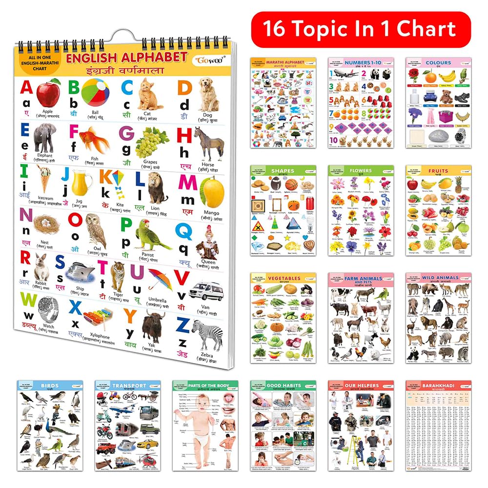 English-Marathi Chart For Kids (16 Charts ) 36 X 50 Cm - Children Spiral Wall Picture Chart | Grocsy